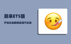 蔚来ET5葫芦岛车友群_新能源汽车能不能跑长途