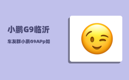 小鹏G9临沂车友群_小鹏G9APp如何查看车辆位置