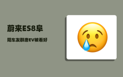 蔚来ES8阜阳车友群_唐EV被看好