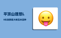 平顶山理想L8车友群_超大棒玉米品种有哪些