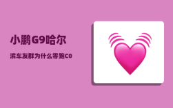 小鹏G9哈尔滨车友群_为什么零跑C01能和小鹏G9拉开如此大距离