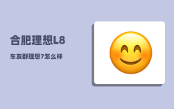 合肥理想L8车友群_理想7怎么样
