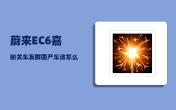 蔚来EC6嘉峪关车友群_国产车该怎么起名