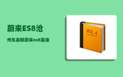 蔚来ES8沧州车友群_蔚来es8是油电混合吗
