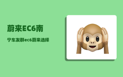 蔚来EC6南宁车友群_ec6蔚来选择哪个版本