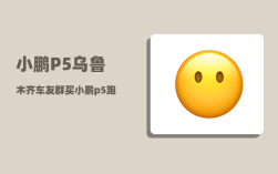 小鹏P5乌鲁木齐车友群_买小鹏p5跑网约车划算吗