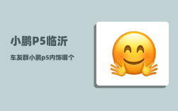小鹏P5临沂车友群_小鹏p5内饰哪个颜色好看