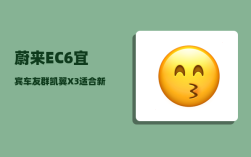 蔚来EC6宜宾车友群_凯翼X3适合新手开吗