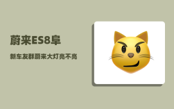 蔚来ES8阜新车友群_蔚来大灯亮不亮