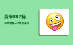 蔚来ES7抚州车友群_es7怎么关闭后排安全带