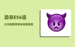 蔚来ES6遵义车友群_蔚来车标哪里买