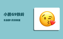 小鹏G9铁岭车友群_1月份销量