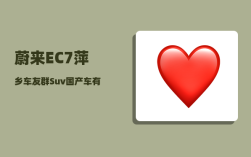 蔚来EC7萍乡车友群_Suv国产车有多少个品牌