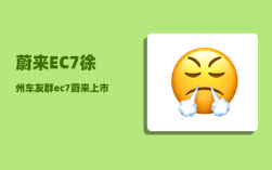 蔚来EC7徐州车友群_ec7蔚来上市时间