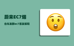 蔚来EC7烟台车友群_ec7首发版和ec7区别