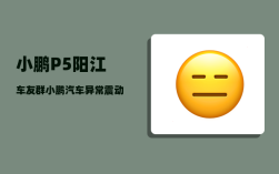 小鹏P5阳江车友群_小鹏汽车异常震动