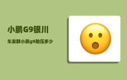 小鹏G9银川车友群_小鹏g9胎压多少