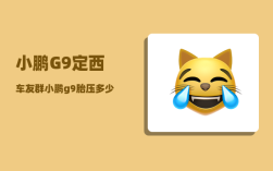 小鹏G9定西车友群_小鹏g9胎压多少