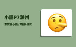 小鹏P7滁州车友群_小鹏p7哨兵模式怎么用