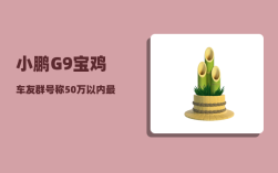 小鹏G9宝鸡车友群_号称50万以内最好的SUV小鹏G9现状如何吗