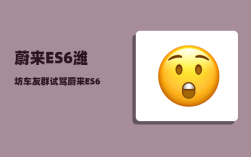 蔚来ES6潍坊车友群_试驾蔚来ES6跟威马W6感觉差不多啊