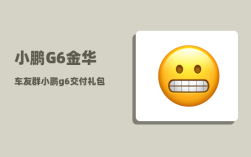 小鹏G6金华车友群_小鹏g6交付礼包是什么