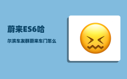 蔚来ES6哈尔滨车友群_蔚来车门怎么开