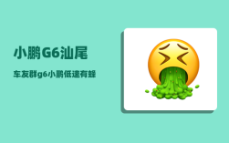小鹏G6汕尾车友群_g6小鹏低速有蜂鸣声吗