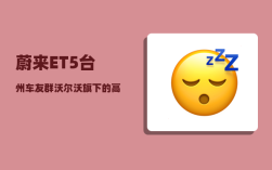 蔚来ET5台州车友群_沃尔沃旗下的高端纯电动车Polestar2有哪些亮点