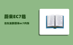 蔚来EC7临沧车友群_蔚来ec7内饰颜色推荐