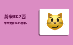 蔚来EC7西宁车友群_2023蔚来es8什么时候交车
