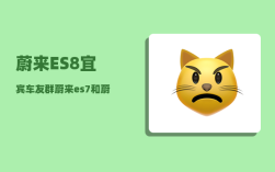 蔚来ES8宜宾车友群_蔚来es7和蔚来es8区别