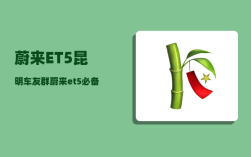 蔚来ET5昆明车友群_蔚来et5必备用品