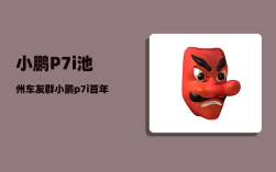 小鹏P7i池州车友群_小鹏p7i首年保险费用