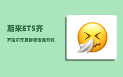 蔚来ET5齐齐哈尔车友群_张雪峰开的什么公司