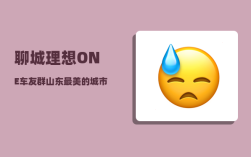 聊城理想ONE车友群_山东最美的城市是哪一个