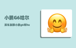 小鹏G6哈尔滨车友群_小鹏g6有hud吗