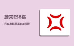 蔚来ES8嘉兴车友群_蔚来ES8和蔚来ET7怎么选