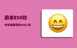 蔚来ES8钦州车友群_蔚来es8人在车里怎么断电