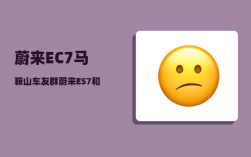 蔚来EC7马鞍山车友群_蔚来为啥不出单电机