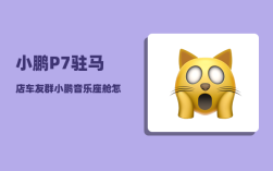 小鹏P7驻马店车友群_小鹏音乐座舱怎么调