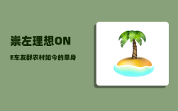 崇左理想ONE车友群_农村如今的单身男子该如何自救