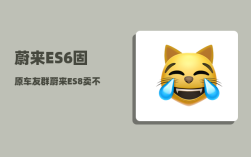 蔚来ES6固原车友群_蔚来ES8卖不动了吗
