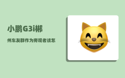 小鹏G3i郴州车友群_作为旁观者该怎么安慰