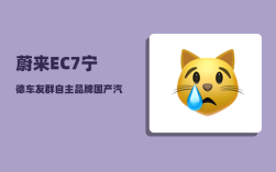 蔚来EC7宁德车友群_自主品牌国产汽车的一哥是谁