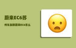 蔚来EC6苏州车友群_蔚来EC6怎么样跟福特电马选谁