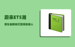 蔚来ET5湘潭车友群_你们觉得安徽人怎么样
