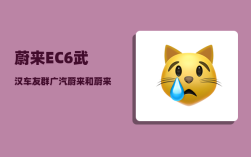 蔚来EC6武汉车友群_广汽蔚来和蔚来什么区别