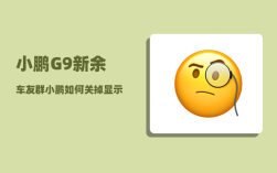 小鹏G9新余车友群_小鹏如何关掉显示屏