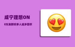 咸宁理想ONE车友群_好多人返乡回农村做电商现在怎么样了